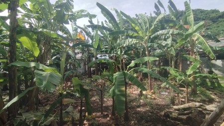 Tanah Pekarangan Premium di Prambanan Klaten - Siap Bangun