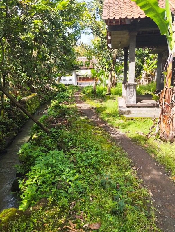 Tanah Pekarangan Premium di Prambanan Klaten - Siap Bangun