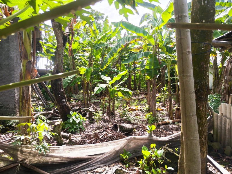 Tanah Pekarangan Premium di Prambanan Klaten - Siap Bangun