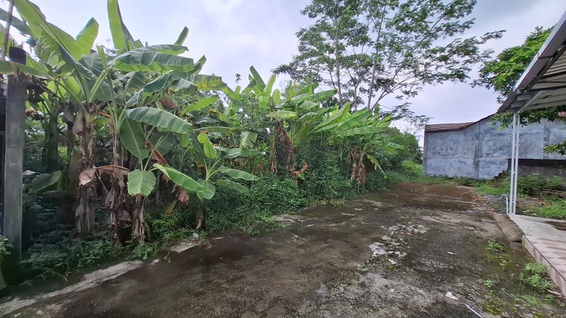 Tanah Luas 240 Meter Persegi Lokasi Strategis di Area Jalan Palagan - Ngaglik Sleman 