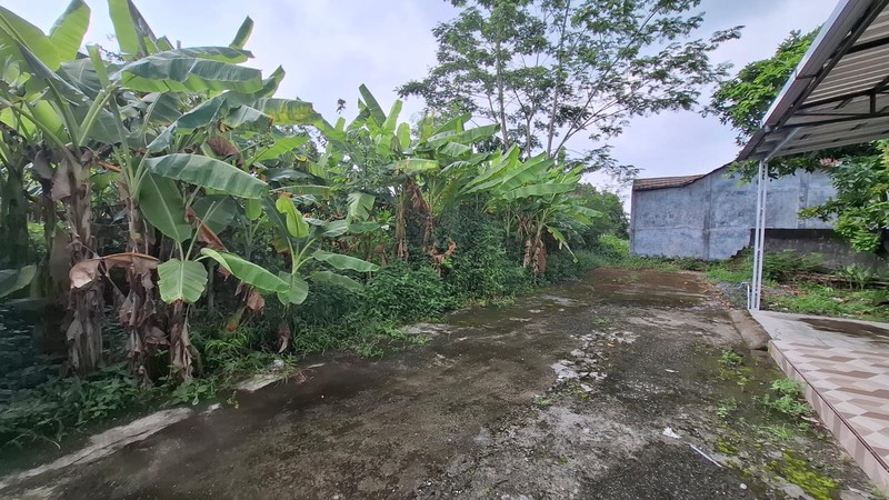 Tanah Luas 240 Meter Persegi Lokasi Strategis di Area Jalan Palagan - Ngaglik Sleman 