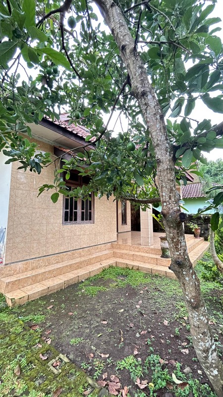 Miliki Rumah Tinggal Nyaman Lokasi Strategis di Banyuurip Purworejo 