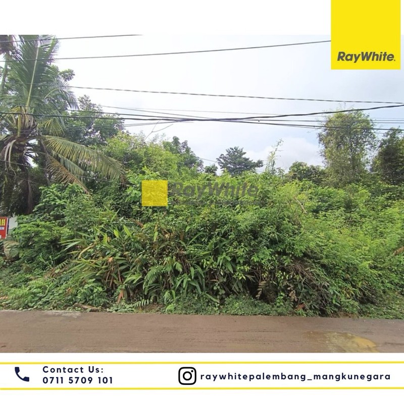 Dijual Tanah di Jl. Taqwa Mata Merah Lr. Klp. Sawit Kel. Sei Selincah, Kec. Kalidoni, Kota Palembang