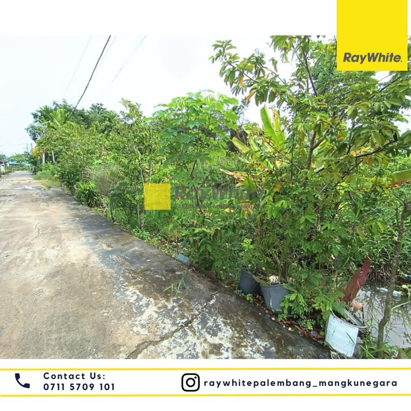 Dijual Tanah di Jl. Taqwa Mata Merah Lr. Klp. Sawit Kel. Sei Selincah, Kec. Kalidoni, Kota Palembang