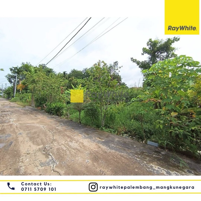 Disewakan Tanah di Jl. Taqwa Mata Merah Lr. Klp. Sawit Kel. Sei Selincah, Kec. Kalidoni, Kota Palembang