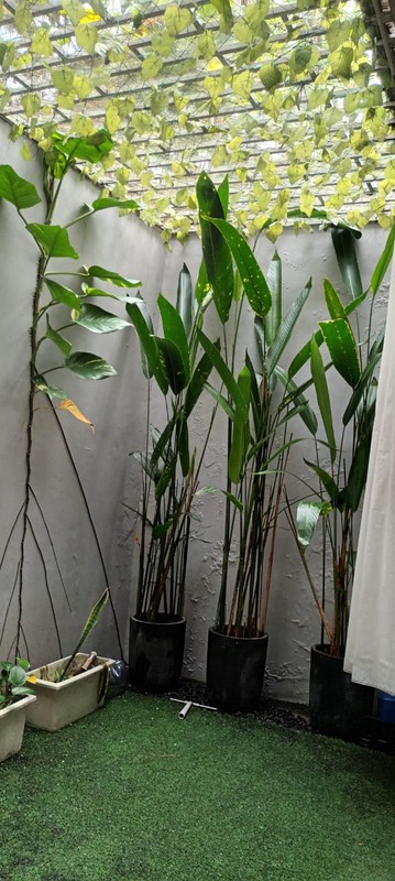 Rumah Cantik Siap Huni di G-Land Residence Padalarang