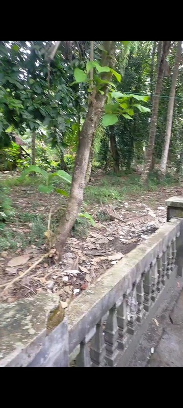 Dijual Tanah Strategis & Luas 845 Meter Persegi di Poncosari, Bantul