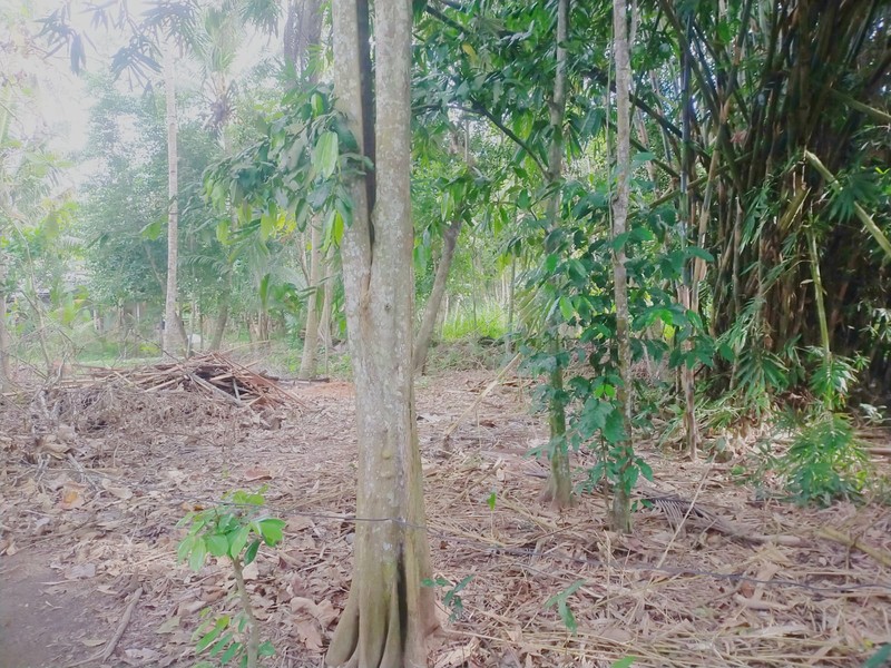 Dijual Tanah Strategis & Luas 845 Meter Persegi di Poncosari, Bantul