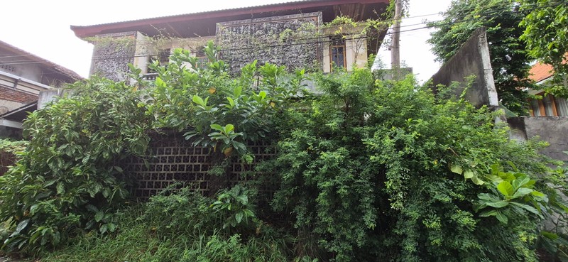 Freehold - Premium Land for Sale in Sanur - Steps from Sanur Harbour, Bali