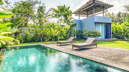 A Hidden Gem in South Ubud - Freehold Spacious Villa in a Natural Setting