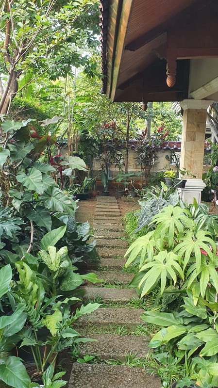 Rumah Bangunan kokoh, Asri Halaman luas di Depok