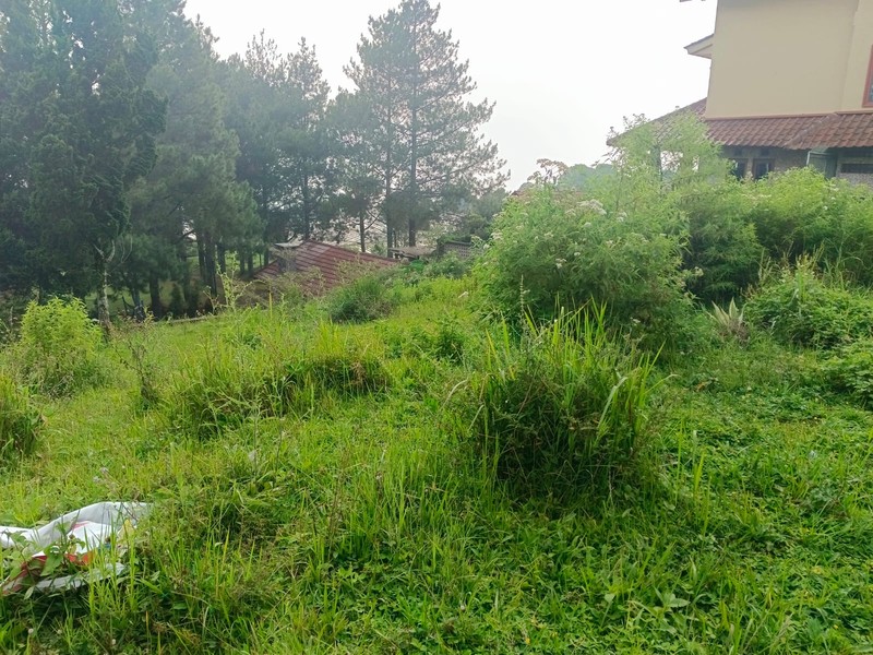Tanah di komplek Giri indah The Peak udara sejuk dan asri cocok untuk villa  