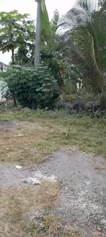 Dijual Tanah 4202 Meter Persegi di Jalur Utama Jl. Nasional III Wates Lokasi Strategis, Pengasih, Kulon Progo