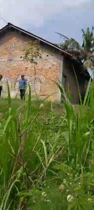 Dijual Tanah 4202 Meter Persegi di Jalur Utama Jl. Nasional III Wates Lokasi Strategis, Pengasih, Kulon Progo