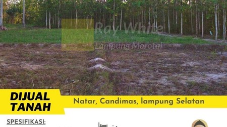 tanah murah candimas natar