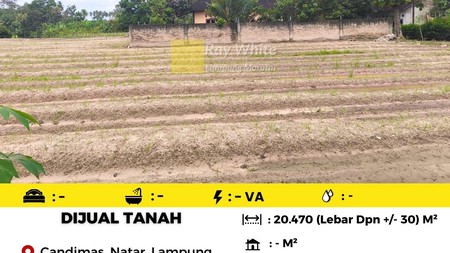 tanah murah candimas natar