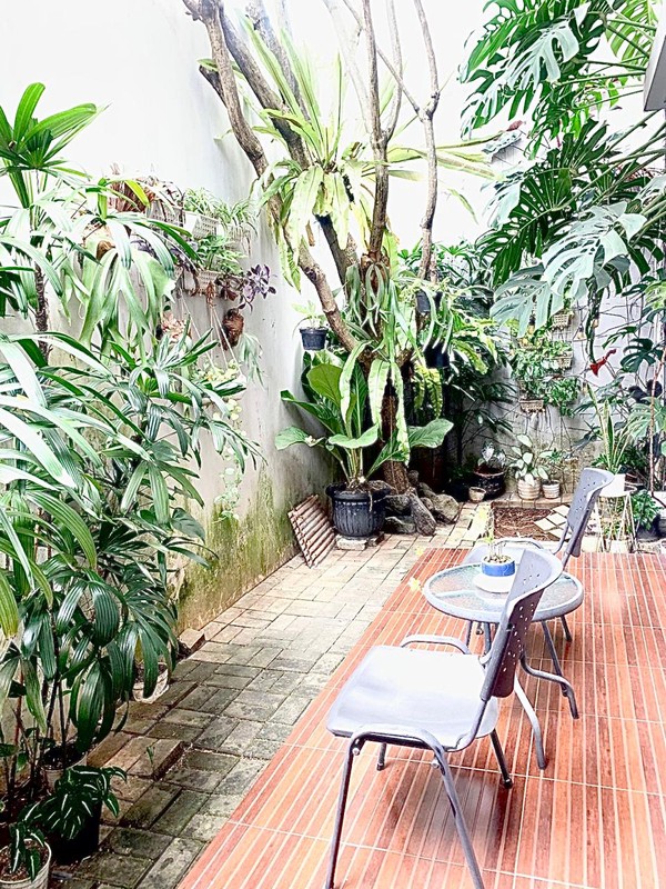 Rumah Dijual Kebayoran Heights Bintaro Jaya | 2.5 Lantai, Open Plan with Natural Light