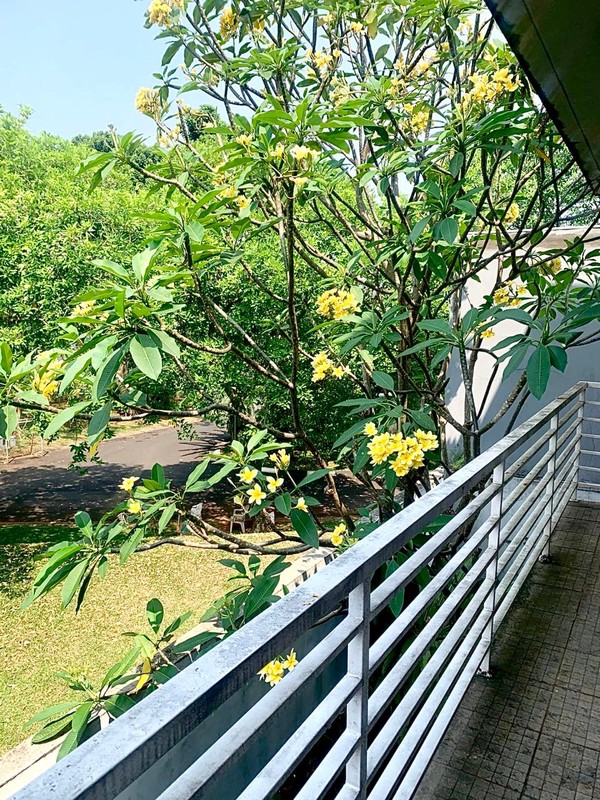 Rumah Dijual Kebayoran Heights Bintaro Jaya | 2.5 Lantai, Open Plan with Natural Light