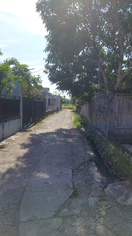 Investasi Strategis Tanah Pekarangan Luas 423 Meter Persegi di Sidomoyo, Godean Lingkungan Asri & Siap Bangun