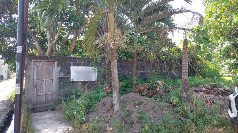 Investasi Strategis Tanah Pekarangan Luas 423 Meter Persegi di Sidomoyo, Godean Lingkungan Asri & Siap Bangun