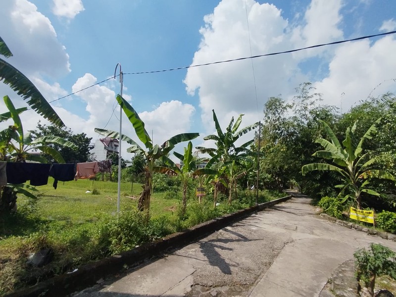 Tanah Sawah Luas 356 Meter Persegi Lokasi Strategis di Daerah Kasihan Bantul 