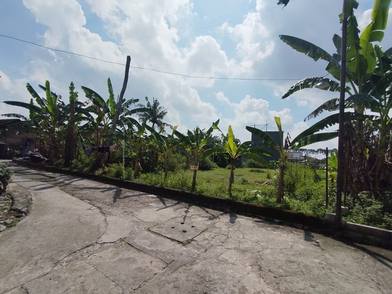 Tanah Sawah Luas 356 Meter Persegi Lokasi Strategis di Daerah Kasihan Bantul 