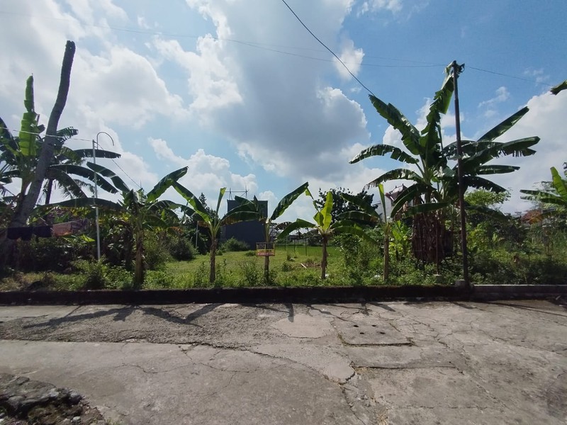 Tanah Sawah Luas 356 Meter Persegi Lokasi Strategis di Daerah Kasihan Bantul 