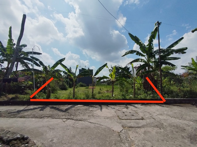 Tanah Sawah Luas 356 Meter Persegi Lokasi Strategis di Daerah Kasihan Bantul 