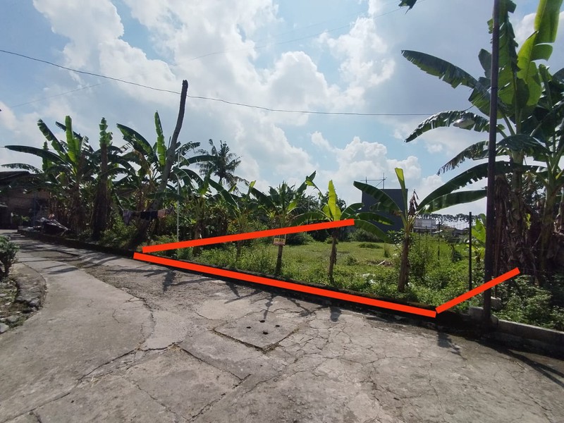 Tanah Sawah Luas 356 Meter Persegi Lokasi Strategis di Daerah Kasihan Bantul 