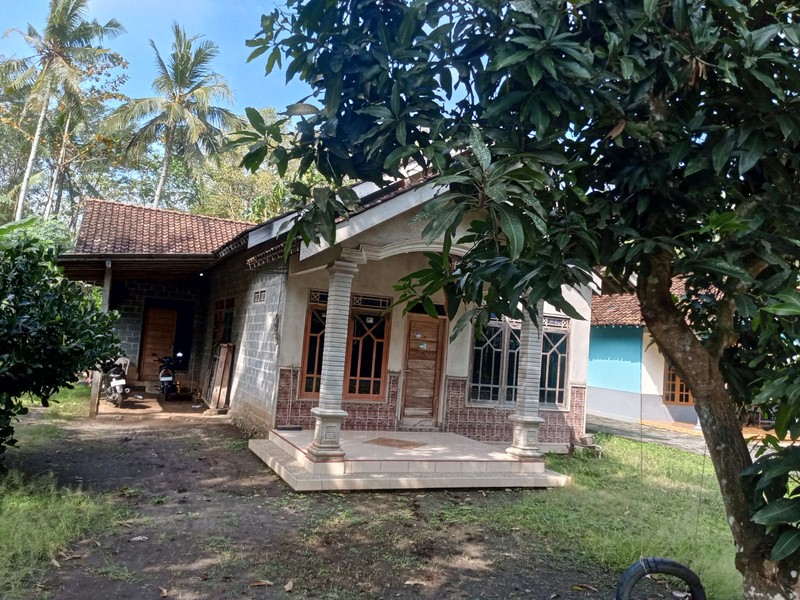 Tanah Bonus Bangunan Rumah Lokasi Strategis di Purwodadi - Purworejo 