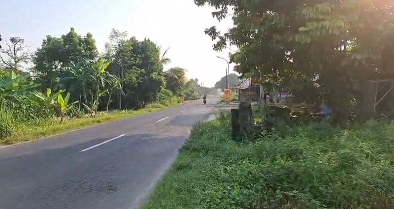 Jual Tanah Strategis Ada Depan Dan Belakang 0 Jl Raya Kecamatan Dukun Gresik