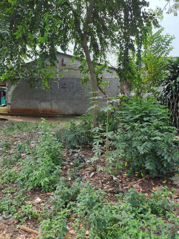 Tanah Siap Bangun Luas 2.1342 di Tapos 