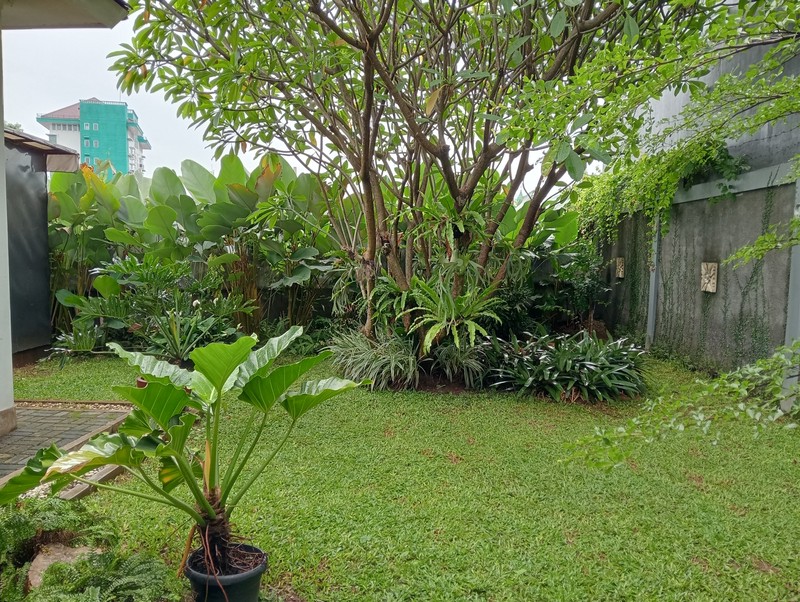 Rumah Mewah, Asri, Nyaman, Lokasi Strategis, Bisa KPR, Harga Nego