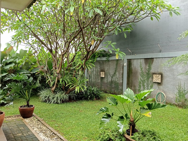 Rumah Mewah, Asri, Nyaman, Lokasi Strategis, Bisa KPR, Harga Nego