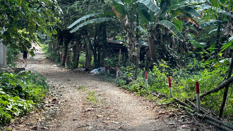 Lahan Tanah Datar Luas 14 Ha Di Klapanunggal Bogor