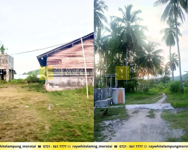 Dijual Tanah Bonus Bangunan di Punduh Pidada, Pesawaran Lampung