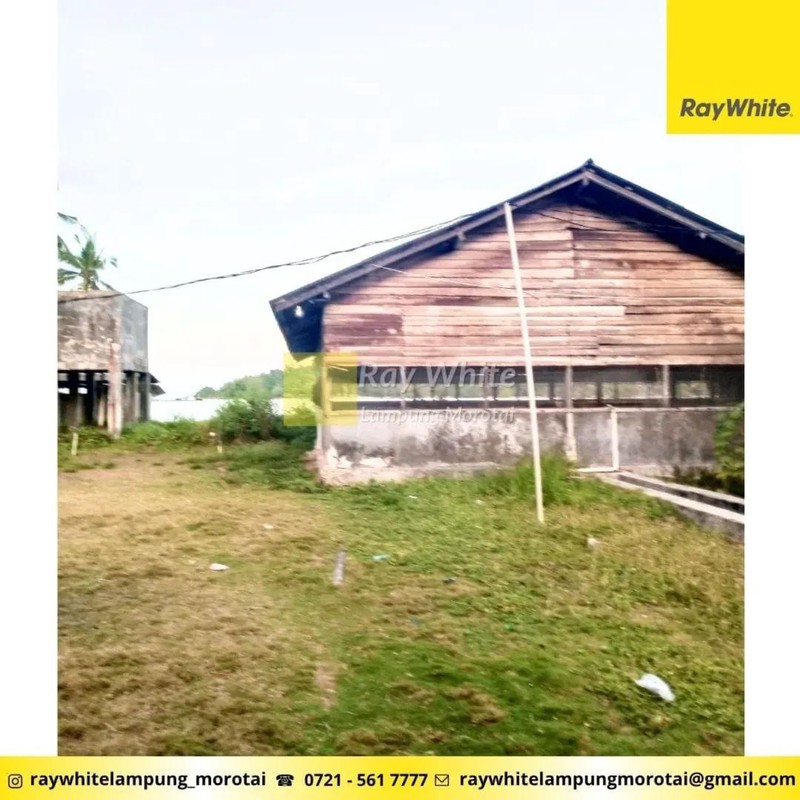 Dijual Tanah Bonus Bangunan di Punduh Pidada, Pesawaran Lampung