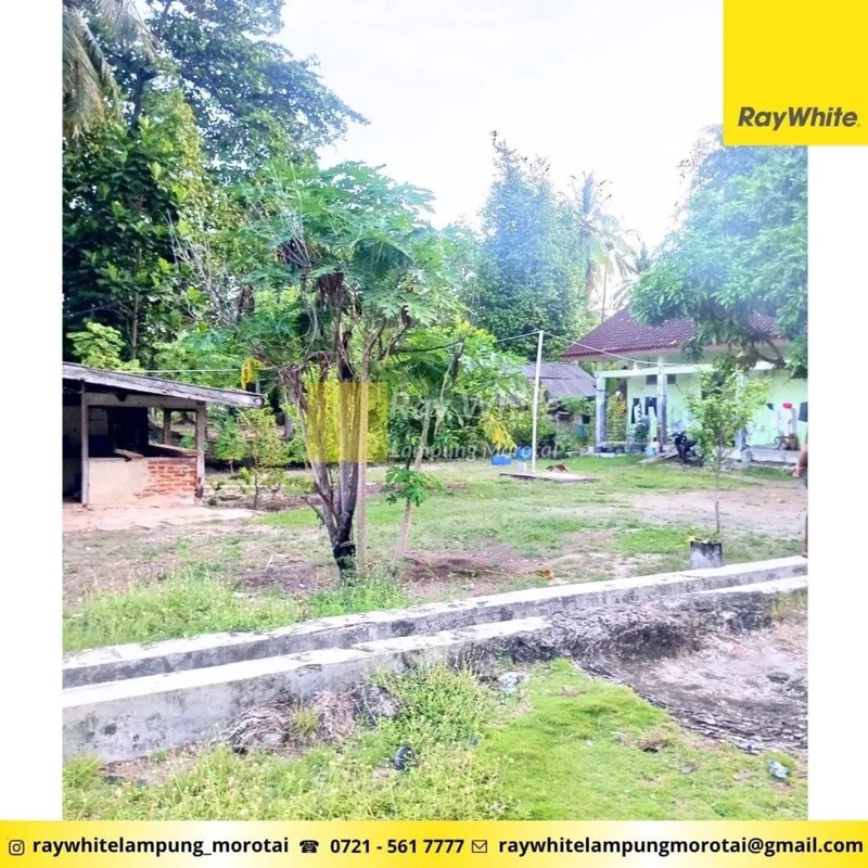 Dijual Tanah Bonus Bangunan di Punduh Pidada, Pesawaran Lampung