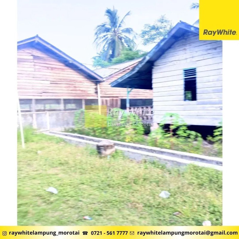 Dijual Tanah Bonus Bangunan di Punduh Pidada, Pesawaran Lampung