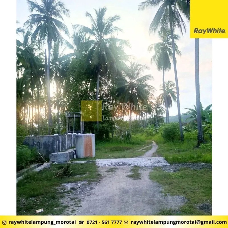 Dijual Tanah Bonus Bangunan di Punduh Pidada, Pesawaran Lampung