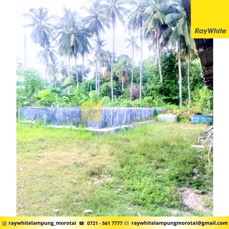 Dijual Tanah Bonus Bangunan di Punduh Pidada, Pesawaran Lampung