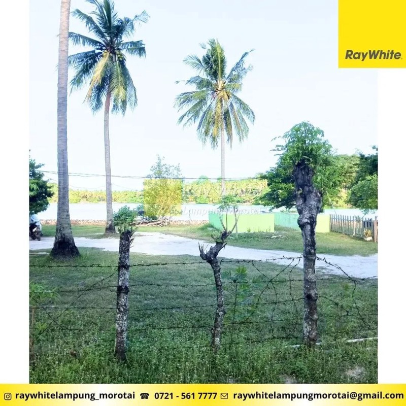 Dijual Tanah Pantai di Punduh Pidada, Pesawaran, Lampung