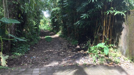 Land Freehold Nice VIew Payangan Ubud Bali