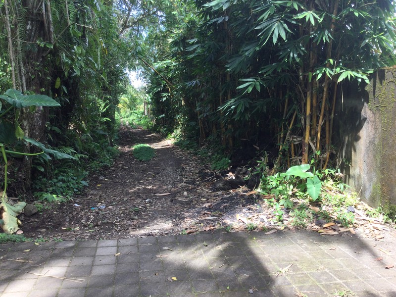 Land Freehold Nice VIew Payangan Ubud Bali