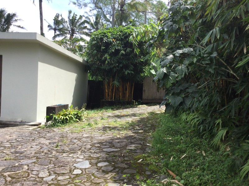 Land Freehold Nice VIew Payangan Ubud Bali