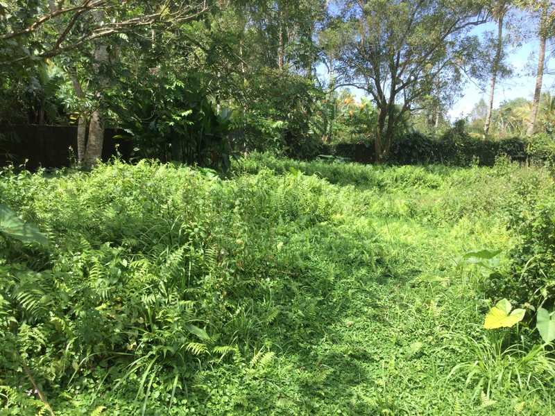 Land Freehold Nice VIew Payangan Ubud Bali