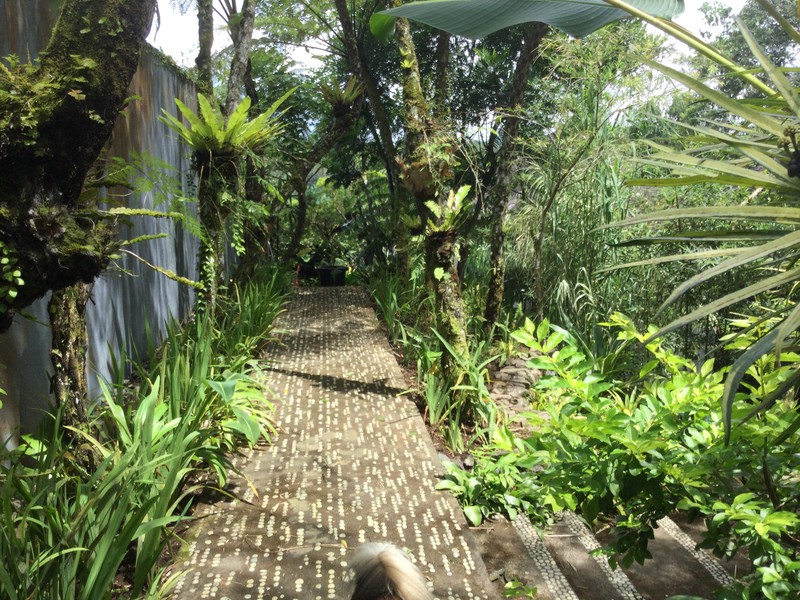 Land Freehold Nice VIew Payangan Ubud Bali