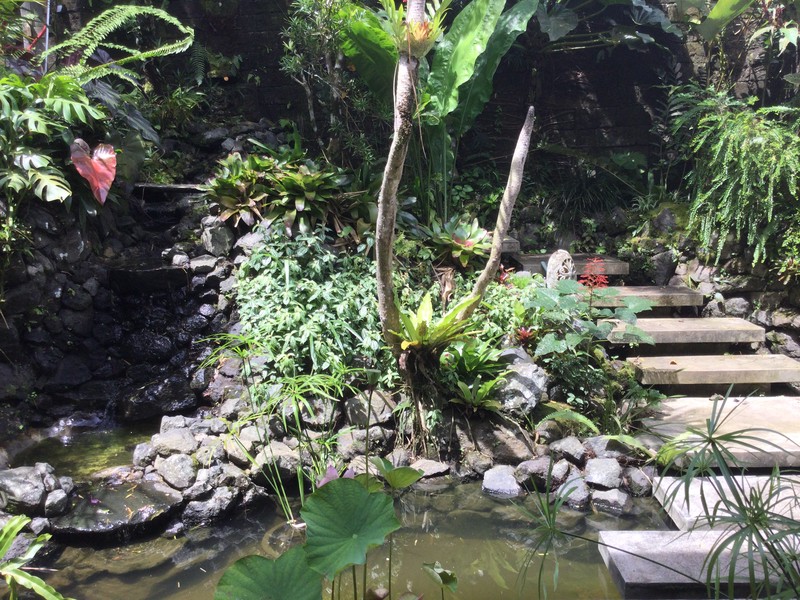 Land Freehold Nice VIew Payangan Ubud Bali