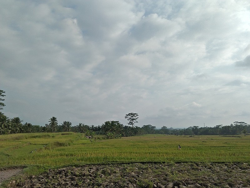 Freehold Land for Sale 25 minutes from Ubud Center Bali