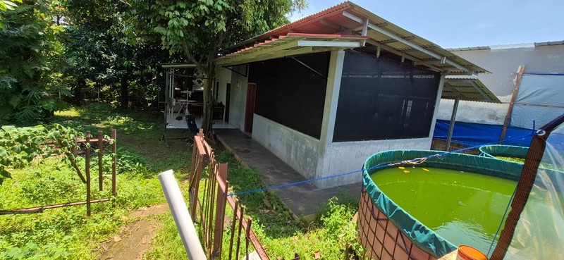 Dijual rumah dan tanah yang sangat luas di Tanah Baru, Beji, Depok
